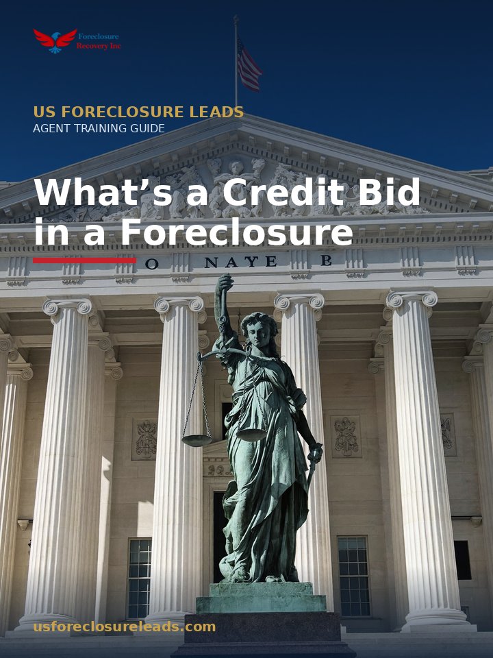 Cover of What Is a Credit Bid in a Foreclosure